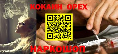 индика Кандалакша