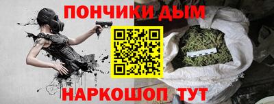 индика Кандалакша
