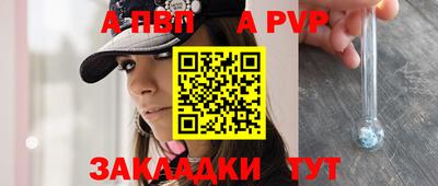индика Кандалакша