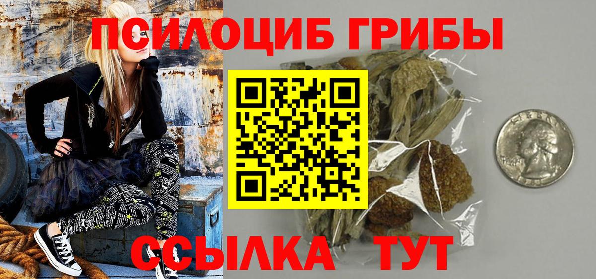 Галлюциногенные грибы Psilocybe Кубинка