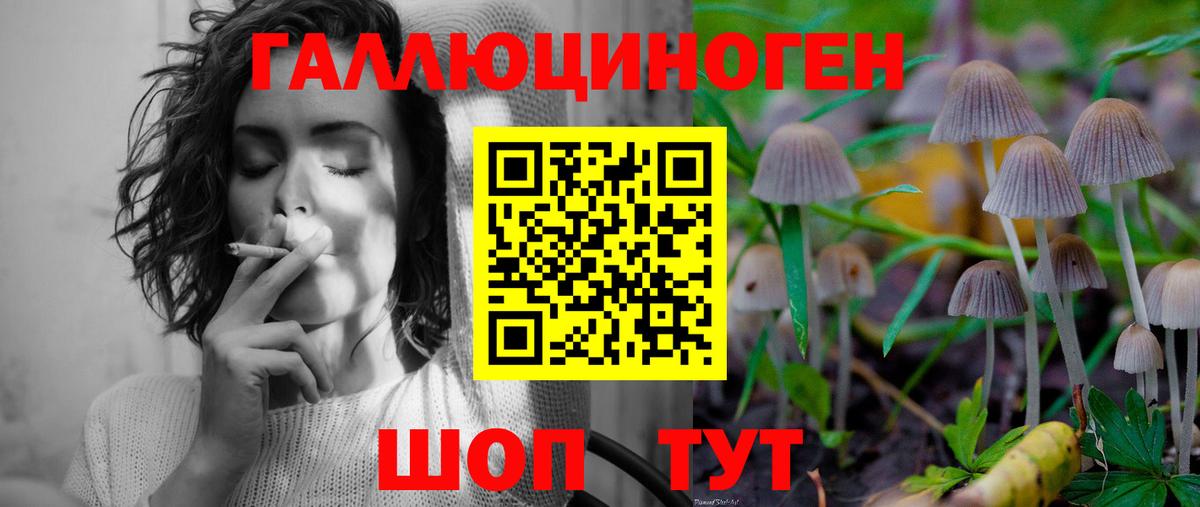 Кубинка  Псилоцибиновые грибы Psilocybine cubensis  Вход с VPN 
